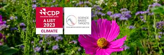 Eine Blumenwiese vor der die Logos der renommierten Klimaschutzorganisationen SBTi und CDP erscheinen.