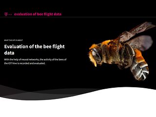 Screenshot der Website des Bienenstock auf dem Innovation Center in München.