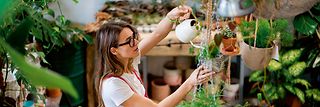 Woman watering flowers.