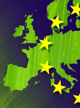 Neue Gesetze der Europäischen Union machen Nachhaltigkeit zum Top-Thema.