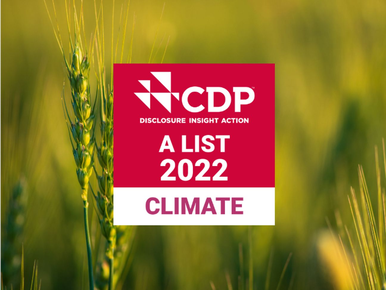 As a Climate "A List" company we are leaders in corporate transparency and action on climate change.