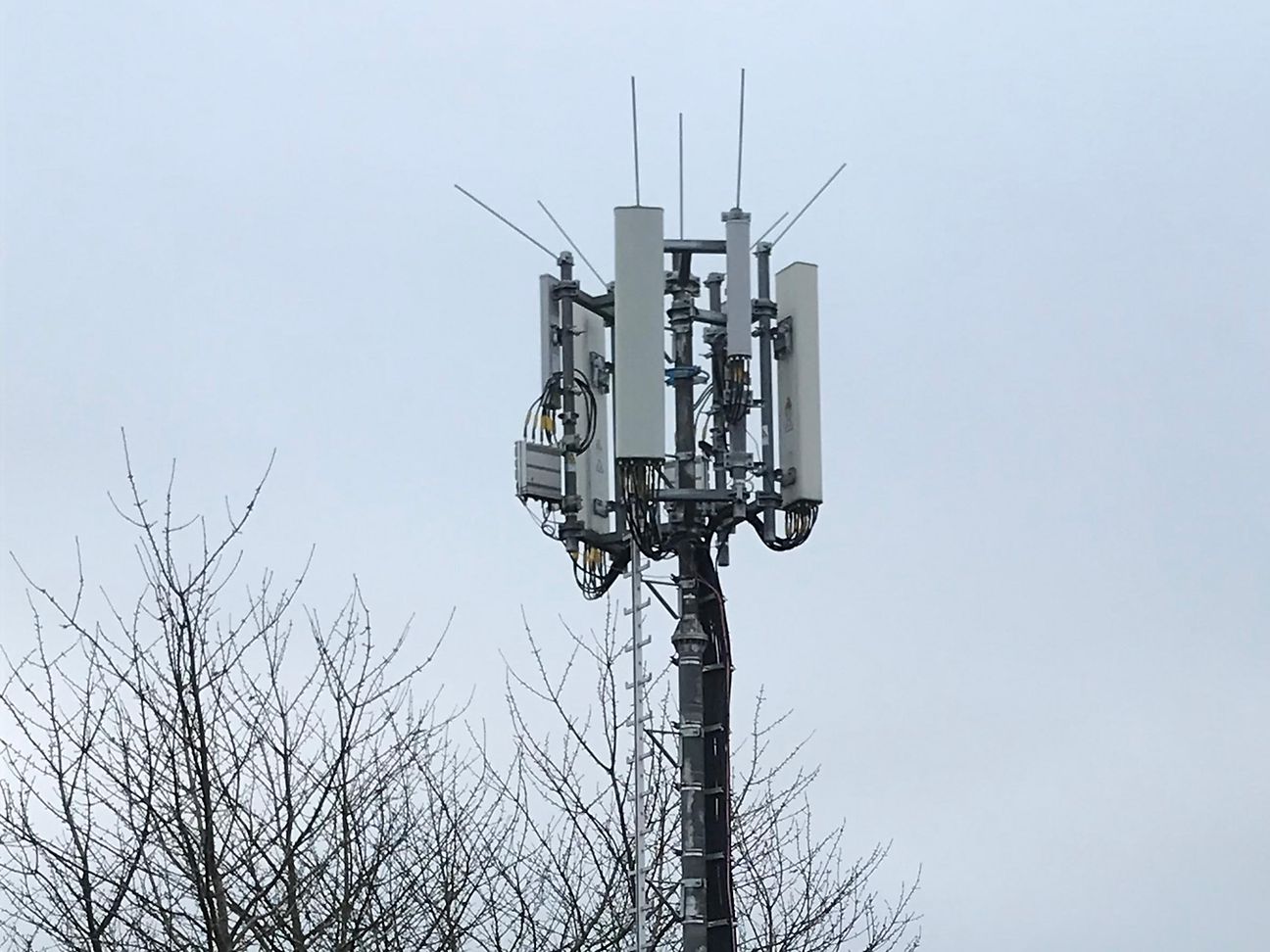 Open RAN Antenne.