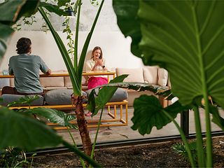 Two people working in a modern office full of green plants.