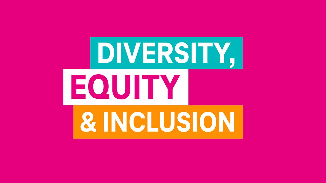 Lettering with the words Diversitiy, Equity and Inclusion