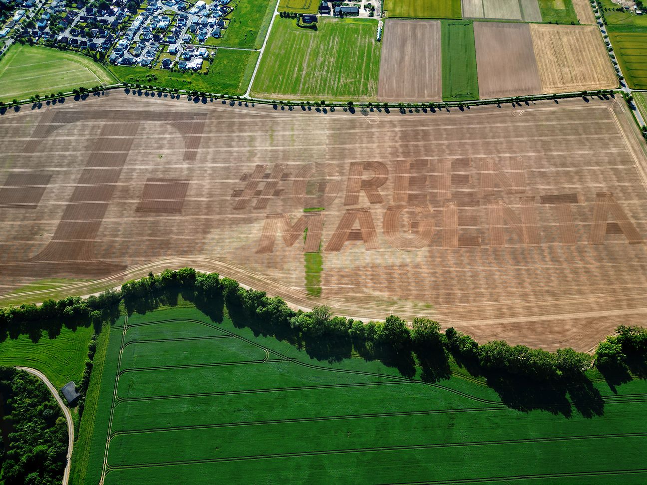 Feld mit eingesätem Schriftzug T und #GreenMagenta