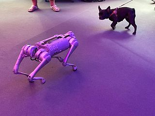 Ein Roboterhund und ein echter Hund