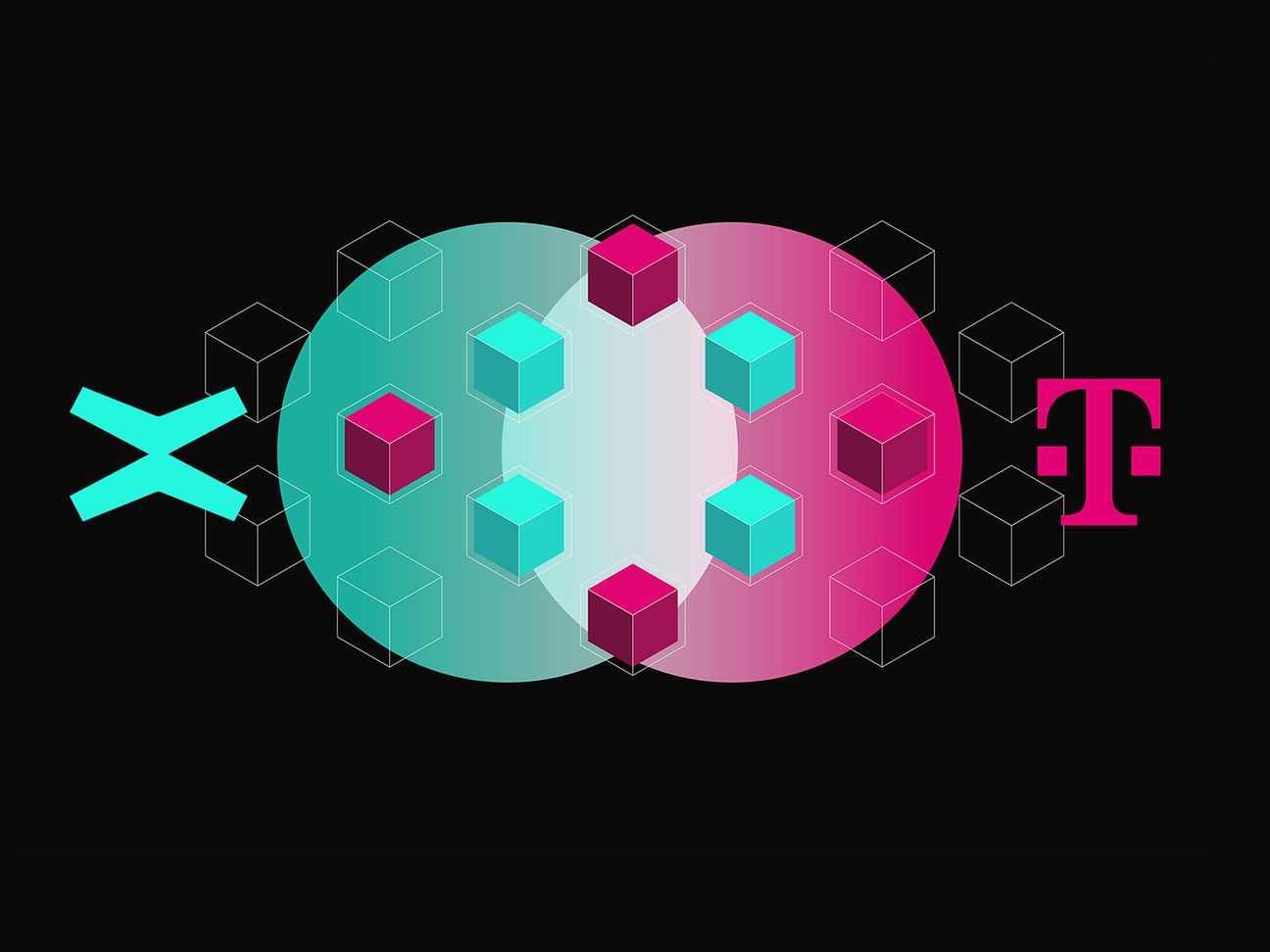 Deutsche Telekom MMS verifies transactions, creates blocks and protects the MultiversX network from attacks.