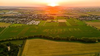 Field at sunset 