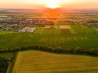 Field at sunset 