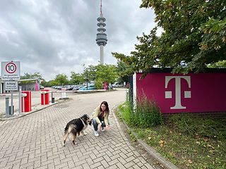 Hund und eine Frau auf einem Parkplatz. Im Hintergrund ein Fernsehturm.