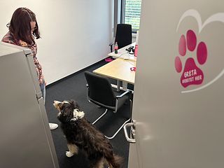 Blick in ein Büro, darin eine Frau mit einem Hund.