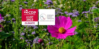 Eine Blumenwiese vor der die Logos der renommierten Klimaschutzorganisationen SBTi und CDP erscheinen.