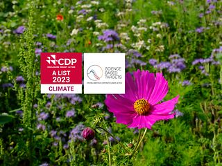 Eine Blumenwiese vor der die Logos der renommierten Klimaschutzorganisationen SBTi und CDP erscheinen.