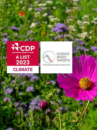 Eine Blumenwiese vor der die Logos der renommierten Klimaschutzorganisationen SBTi und CDP erscheinen.