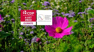 Eine Blumenwiese vor der die Logos der renommierten Klimaschutzorganisationen SBTi und CDP erscheinen.
