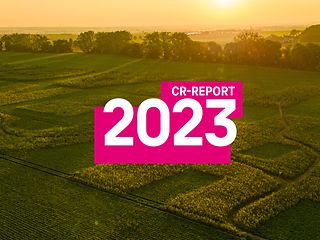 CR Report 2023