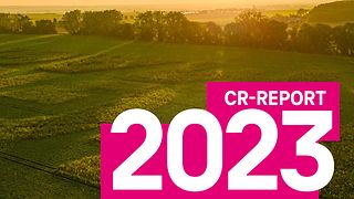 CR Report 2023