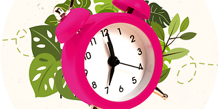 Magenta colored alarm clock with leafs in the background