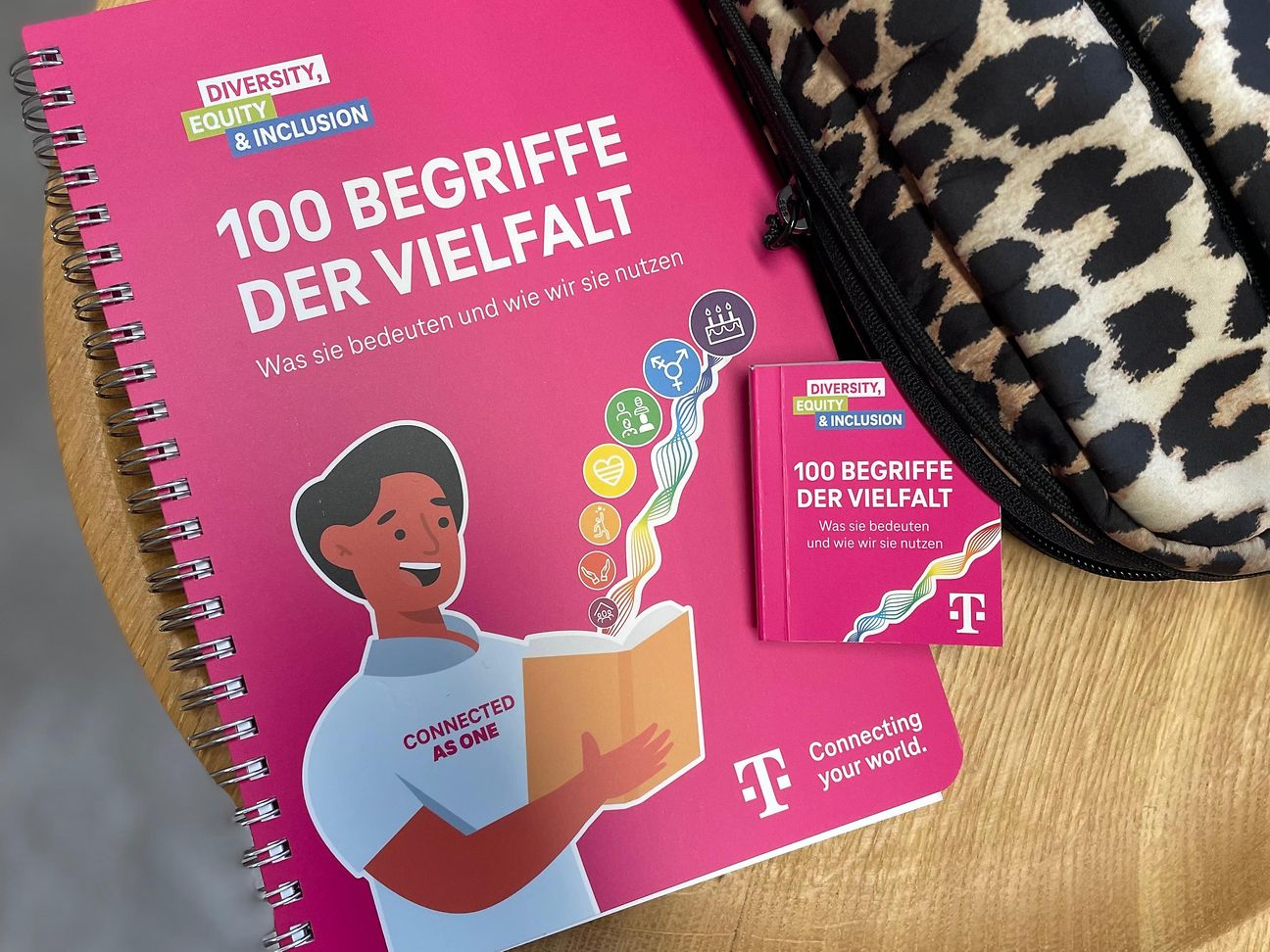 Ein Exemplar des Diversity-Glossars mit dem Titel "100 Begriffe der Vielfalt".