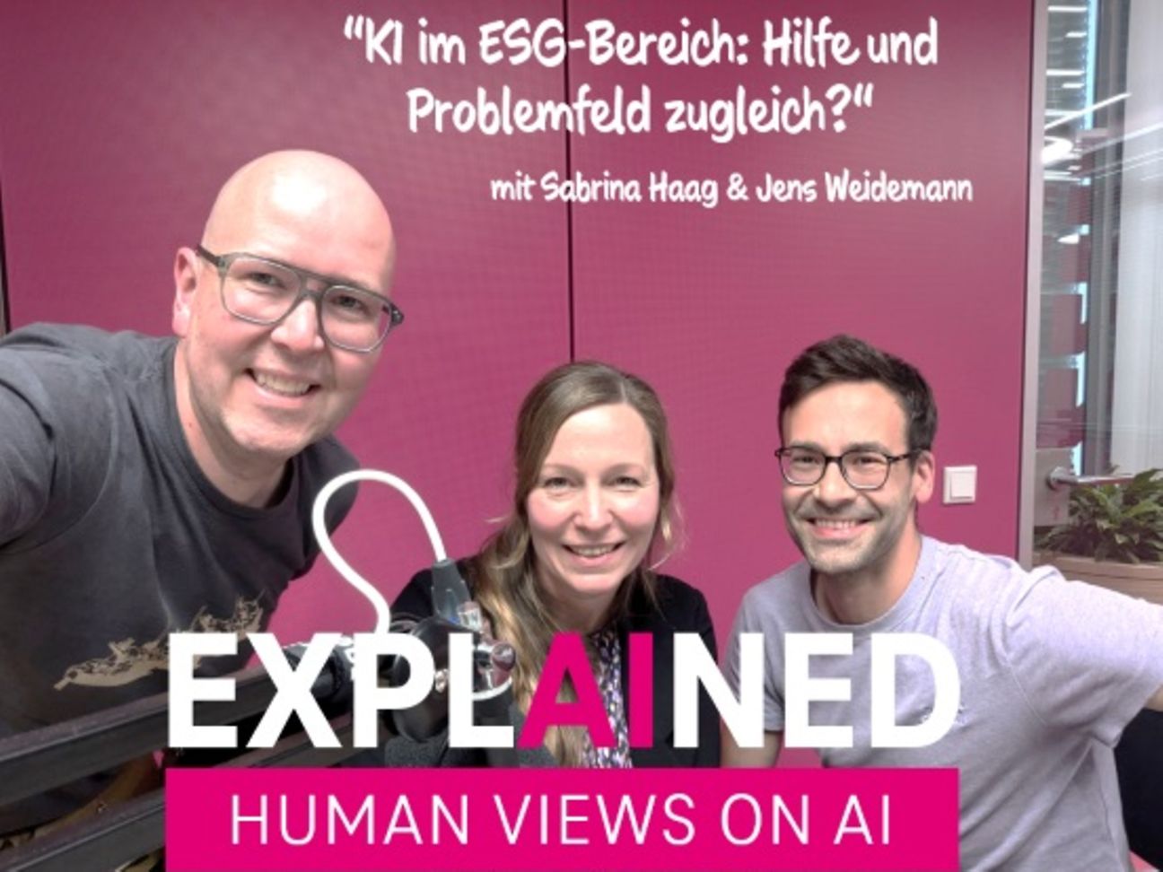 ExplAIned – Human Views on AI