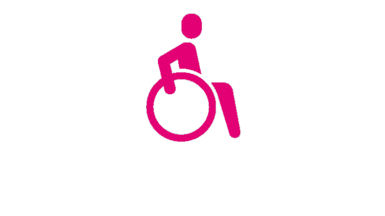 Magenta Icon Person im Rollstuhl