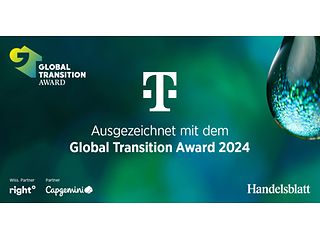 Global Transition Award