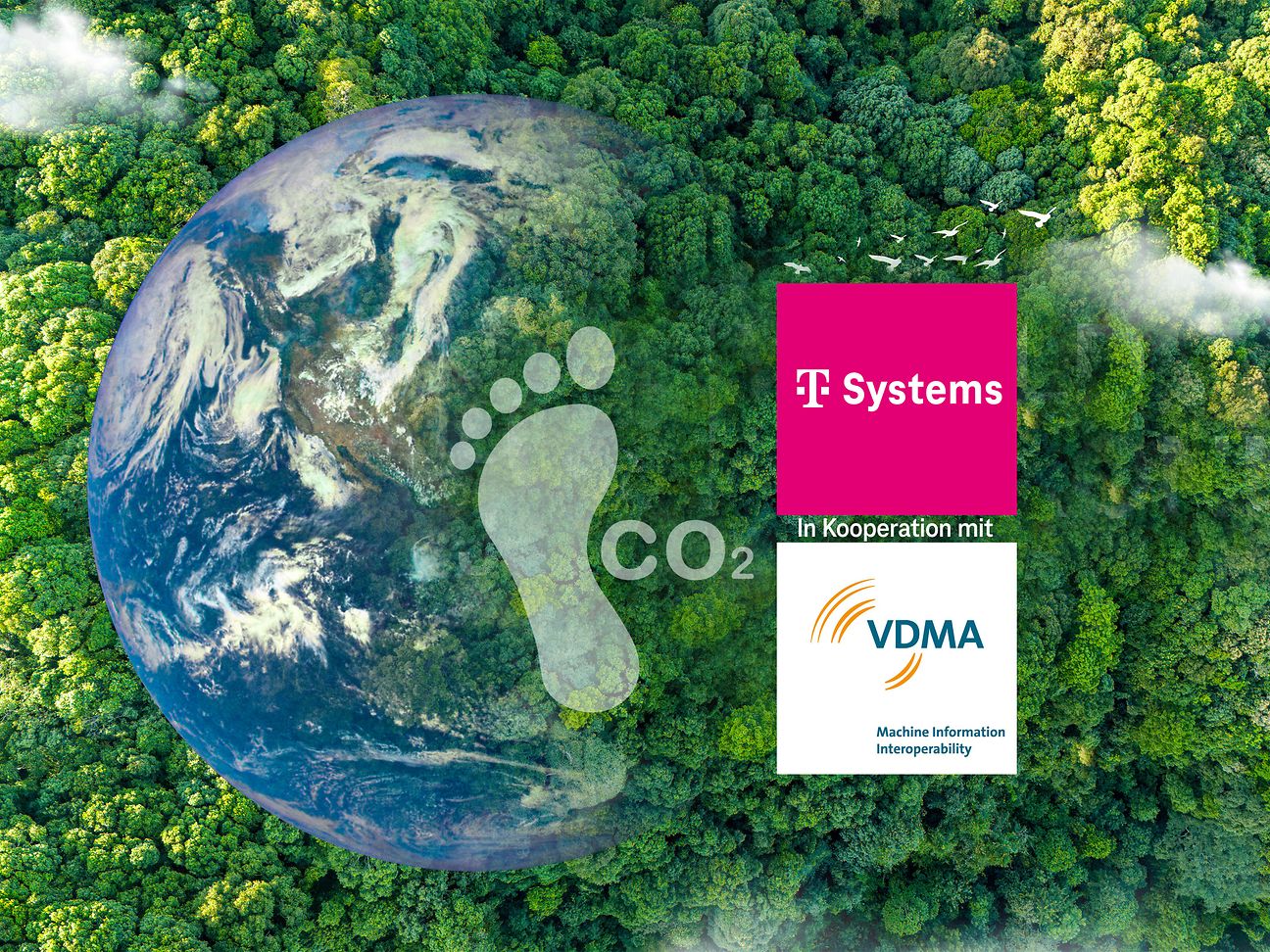 Grafik aus Globus, Wald und CO2-Fußabdruck.