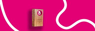 Green future best practice award