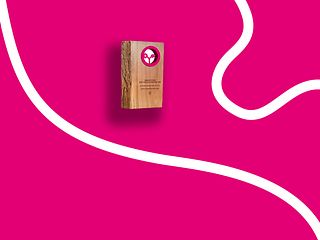 Green future best practice award