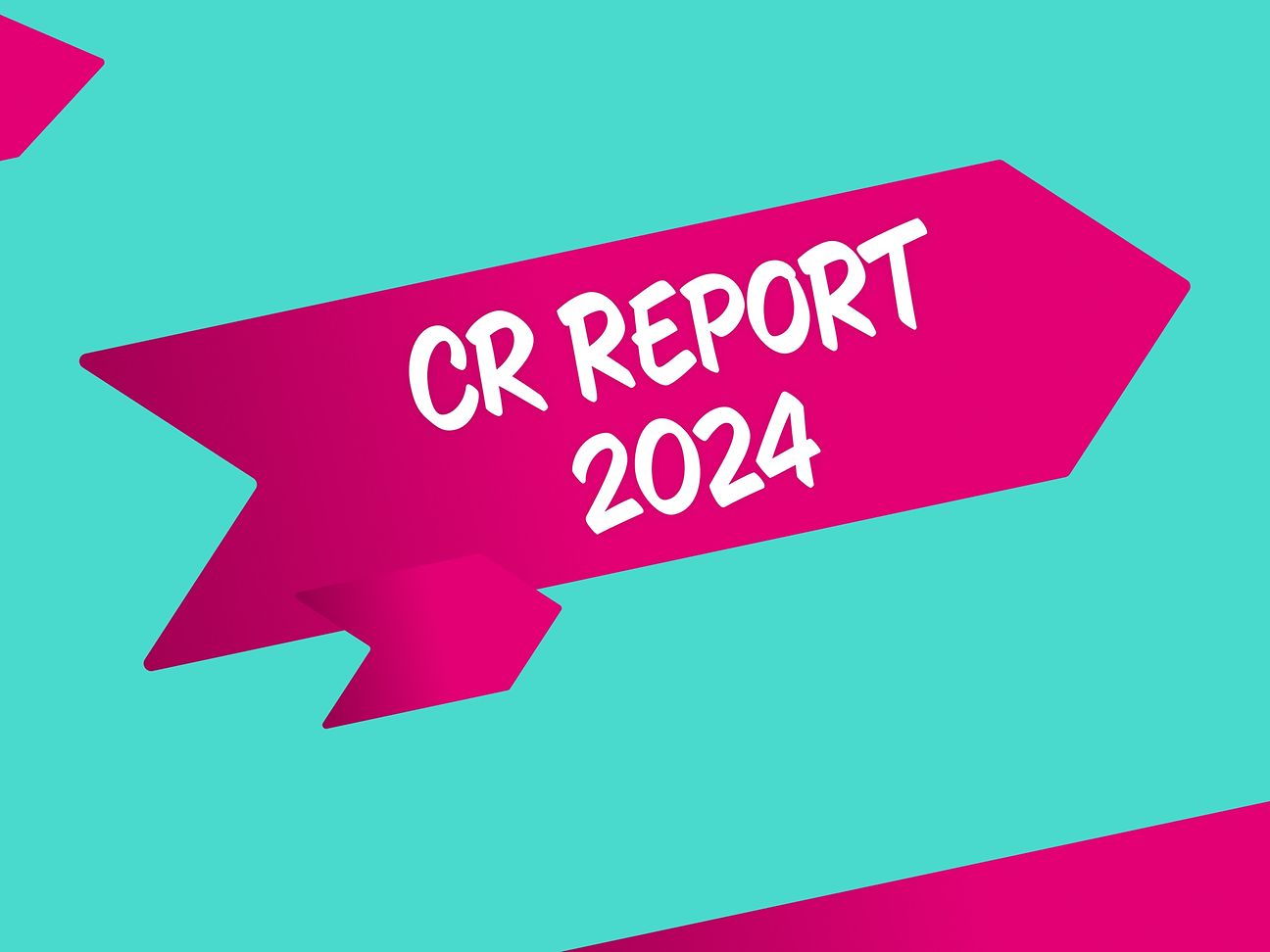 CR Report 2024