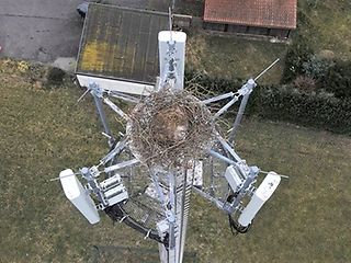 Mobilfunkmast von oben mit Nest.