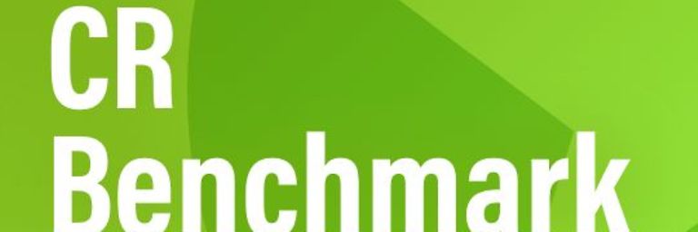 Logo des CR-Benchmark 2025 der NetFederation GmbH.