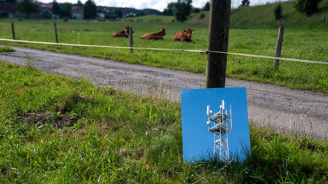 Foto von 5G-Mast lehnt an Weidezaun. Im Hintergrund liegen zwei Kühe im Gras.