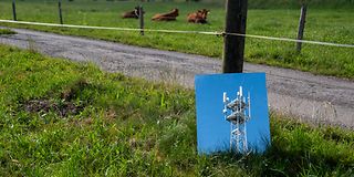 Foto von 5G-Mast lehnt an Weidezaun. Im Hintergrund liegen zwei Kühe im Gras.