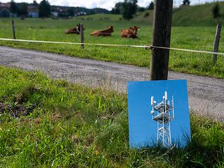 Foto von 5G-Mast lehnt an Weidezaun. Im Hintergrund liegen zwei Kühe im Gras.