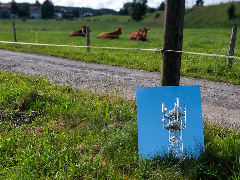 Foto von 5G-Mast lehnt an Weidezaun. Im Hintergrund liegen zwei Kühe im Gras.