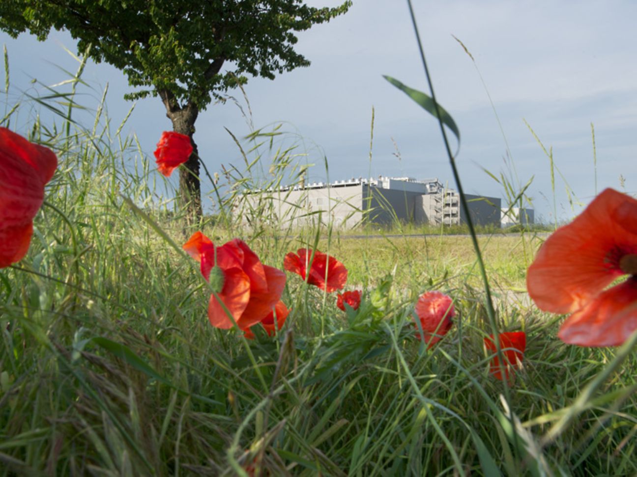 Hochauflösendes Bild zum Download