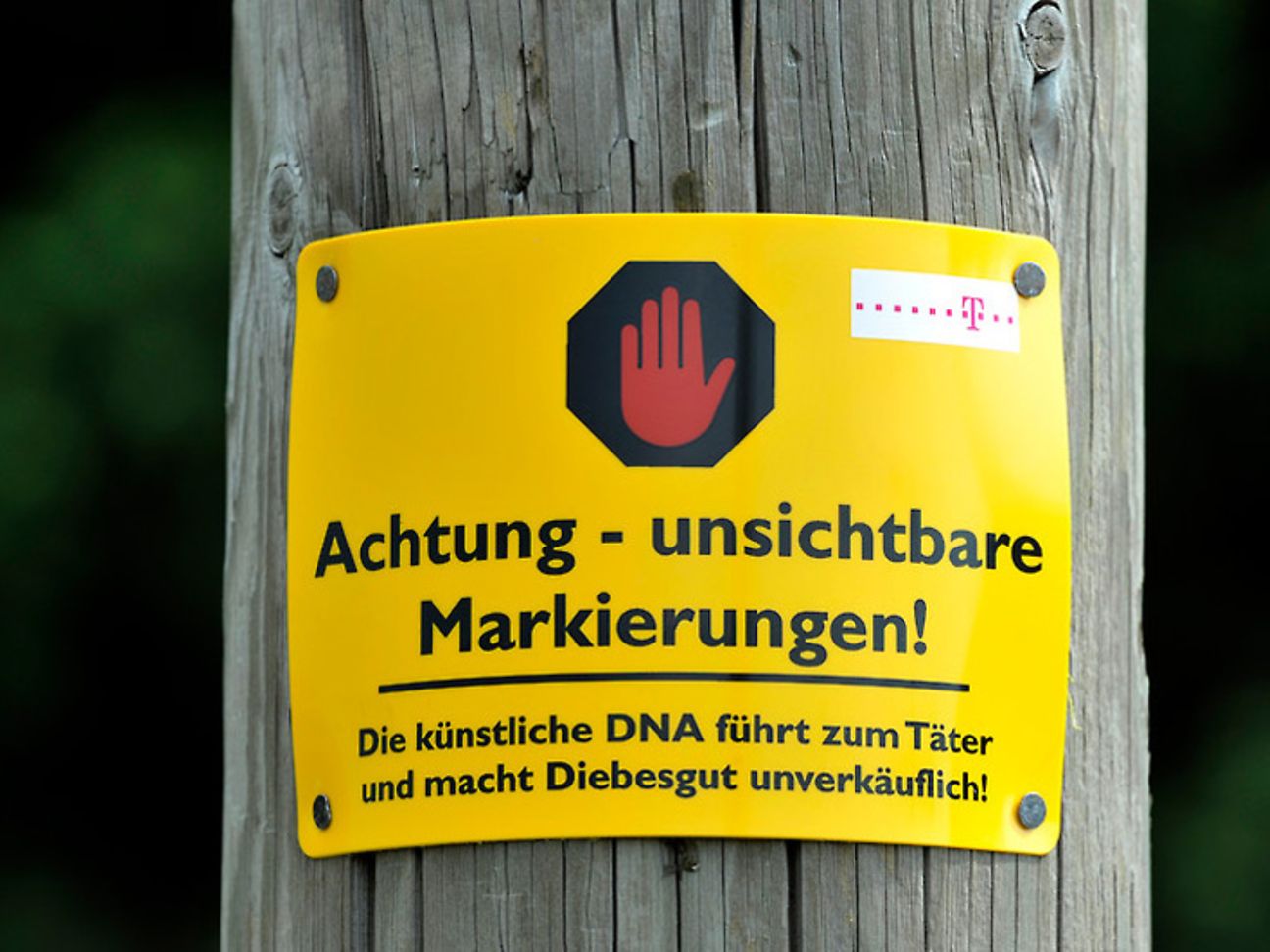 Knstliche DNA berfhrt Metalldiebe | Deutsche Telekom