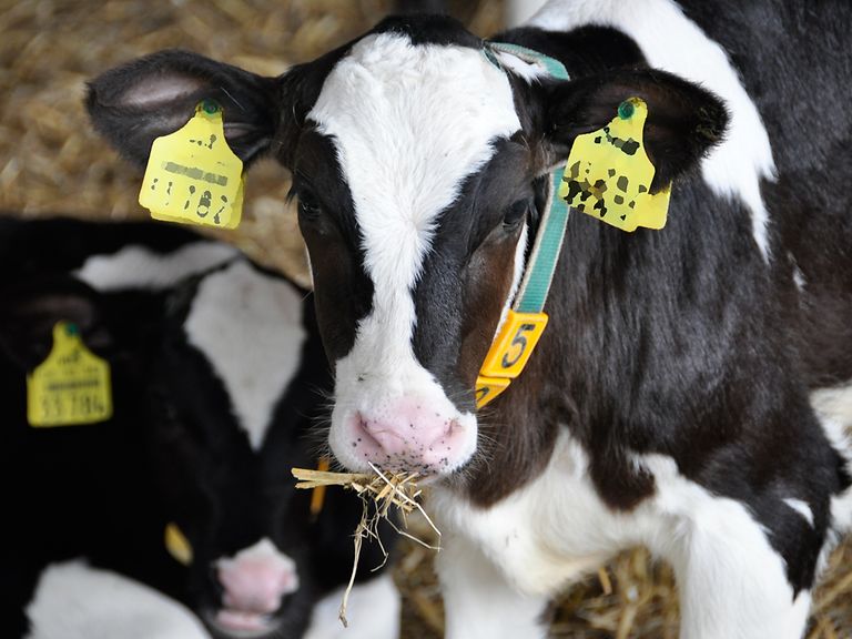Connected agriculture