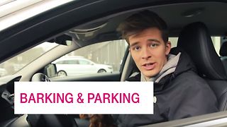 barking-and-parking-netzgeschichten