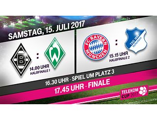 Telekom-Cup