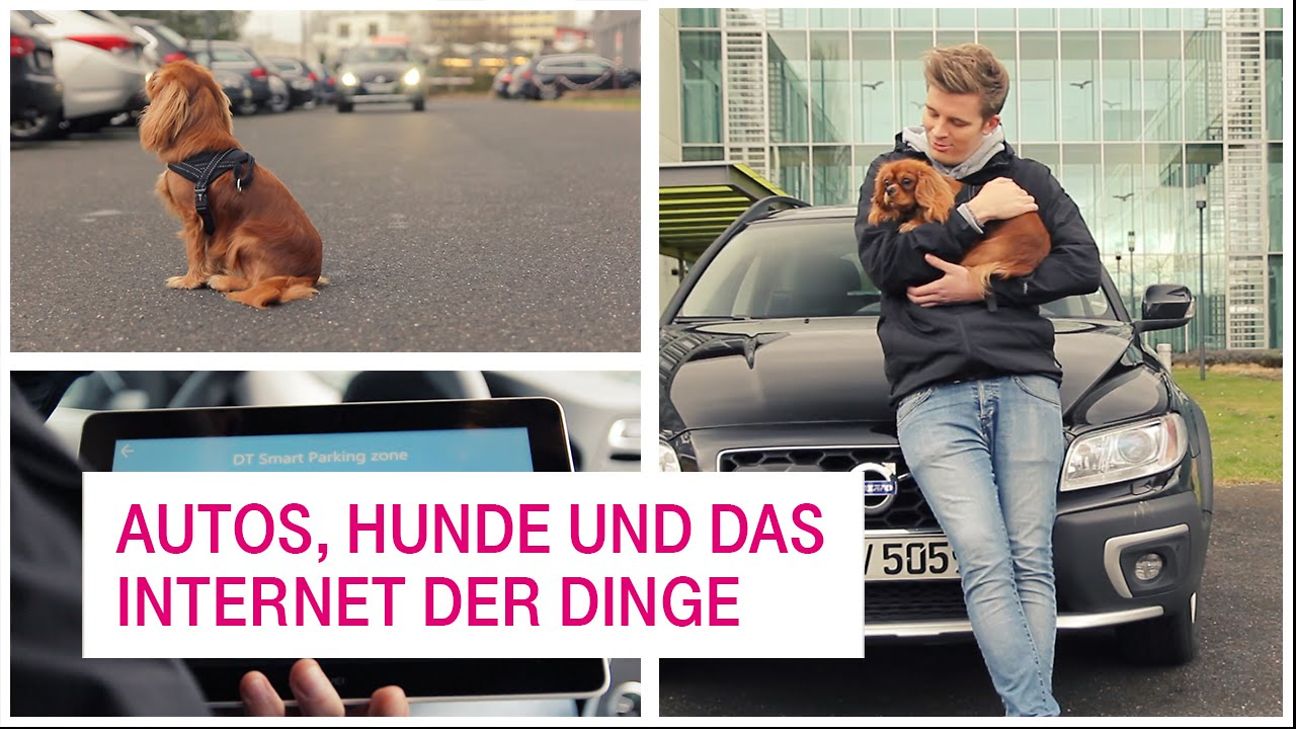 Netzgeschichten-Autos-Hunde-und-das-Internet-derDinge