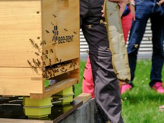 Smart beehives