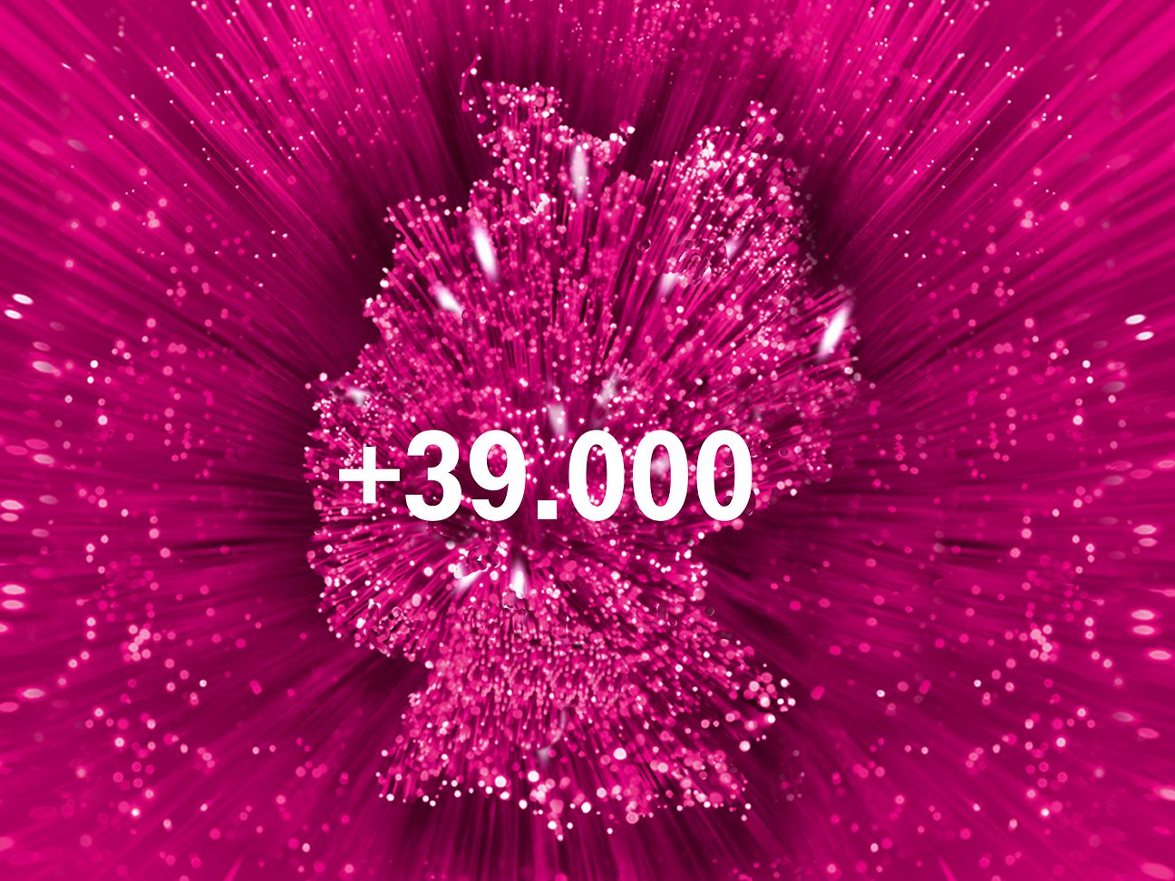Weitere Haushalte mit bis zu 100 MBit/s im Netz.