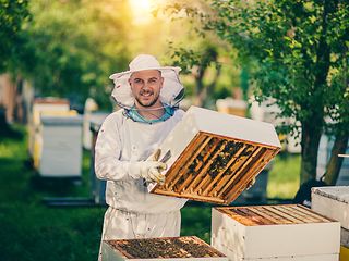 Der vernetzte Bienenstock hilft Imkern bei der Bienenpflege.