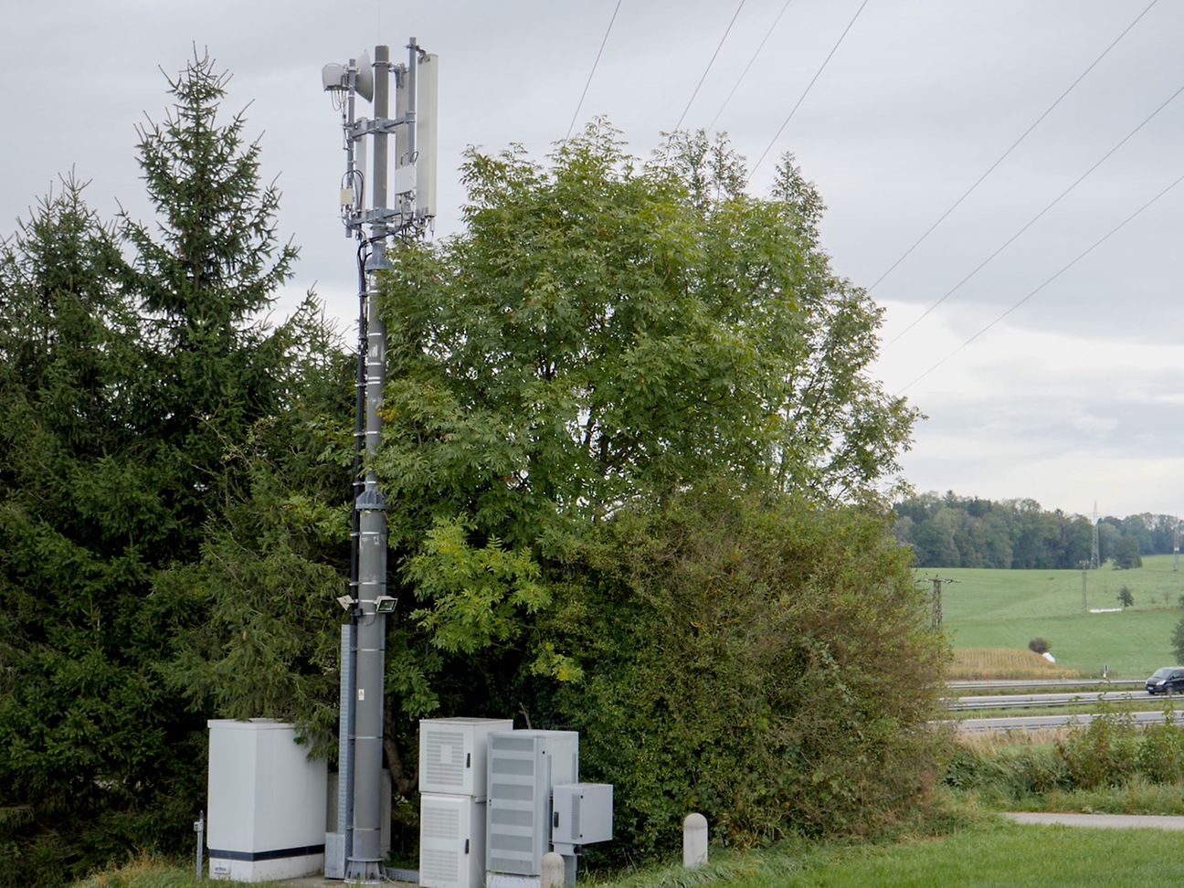 BI_20191112_Mastenkunde-kleiner-Mast