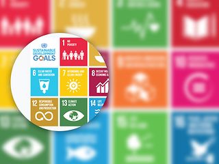 Deutsche Telekom supports the Sustainable Development Goals.