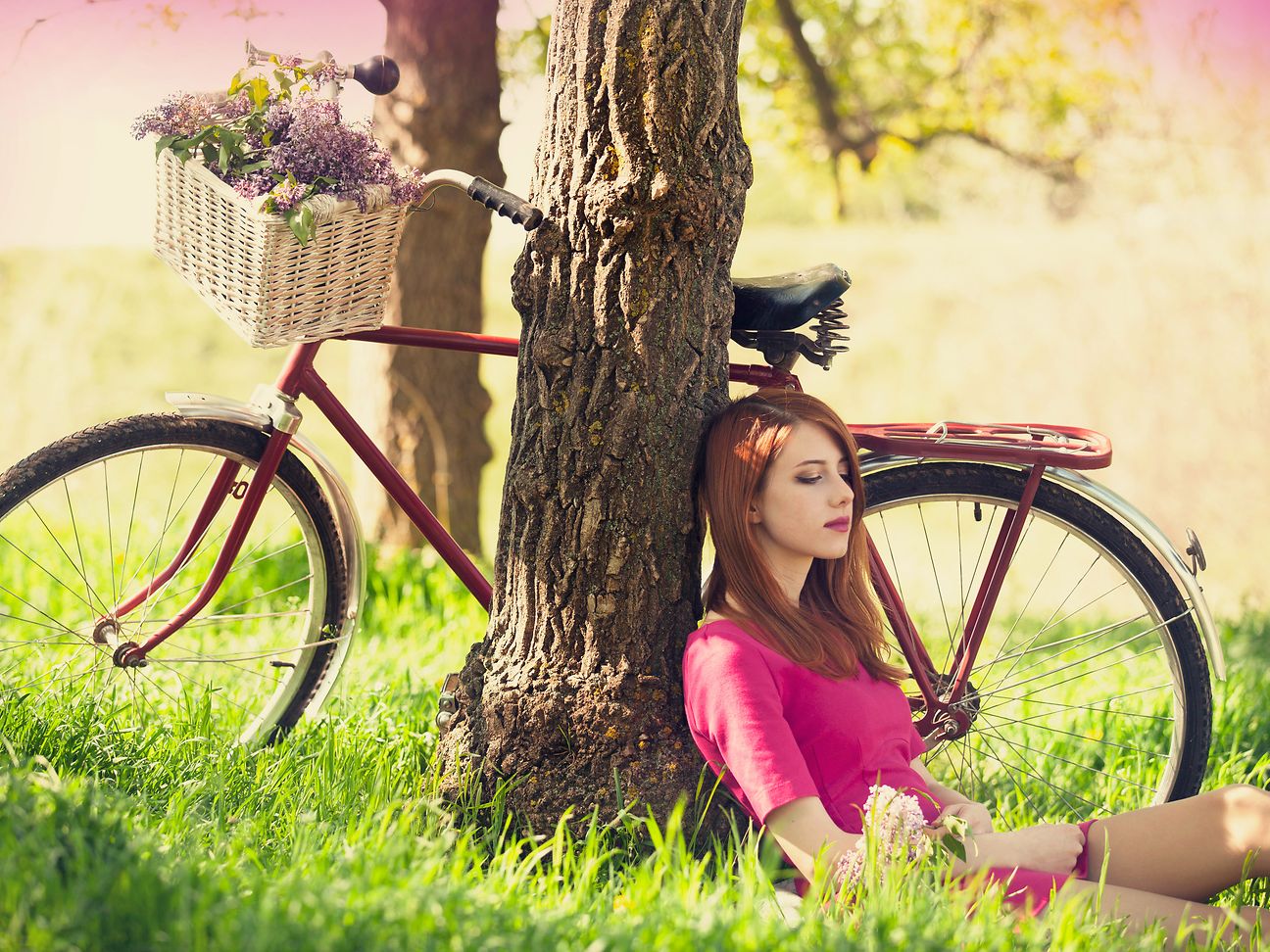 Woman and bicycle with shopping basket leaning against a tree.
