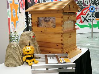 Bienenstöcke mit Technik verbunden