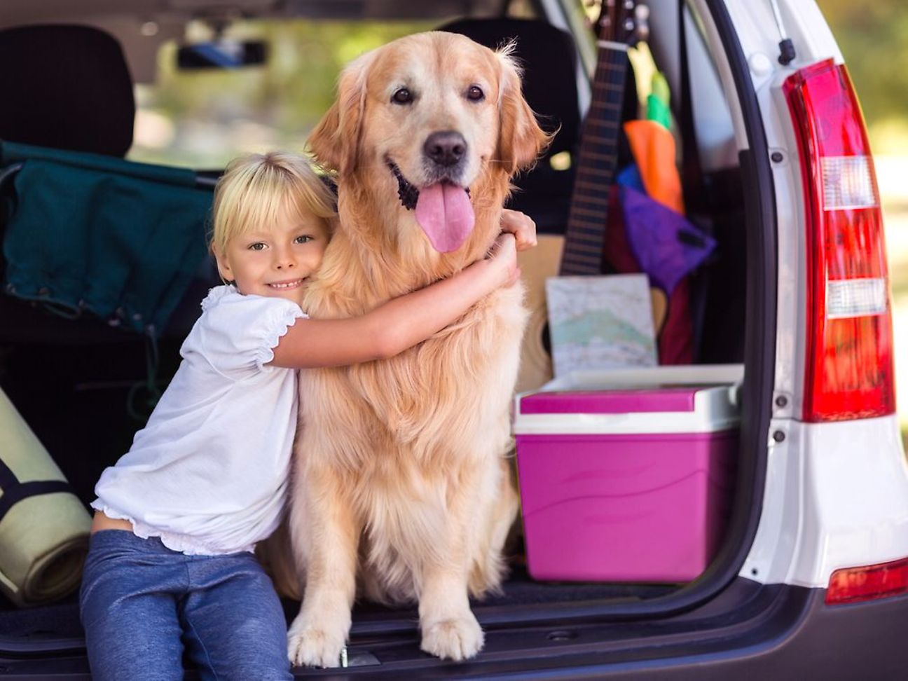 Hunde-Tracker-en
